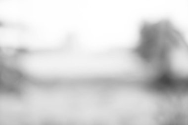 beyaz gri bulanık zemin. yumuşak ışık bokeh arka plan gri.