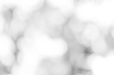 beyaz gri bulanık zemin. yumuşak ışık bokeh arka plan gri.