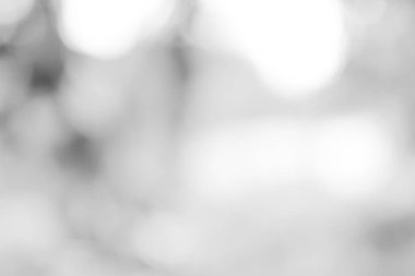 beyaz gri bulanık zemin. yumuşak ışık bokeh arka plan gri.