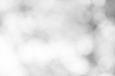 beyaz gri bulanık zemin. yumuşak ışık bokeh arka plan gri.