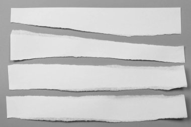 Gri arka planda beyaz yırtık kağıt. koleksiyon kağıdı yırtılması