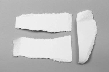Gri arka planda beyaz yırtık kağıt. koleksiyon kağıdı yırtılması