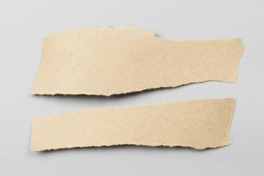 Gri arka plan üzerinde kahverengi yırtık kağıt. koleksiyon kağıt RIP.