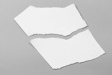 Gri arka planda beyaz yırtık kağıt. koleksiyon kağıdı yırtılması