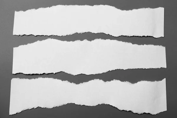 White Torn Paper Gray Background Collection Paper Rip — Stock Photo, Image