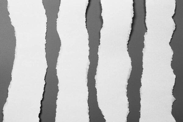white torn paper on gray background. collection paper rip