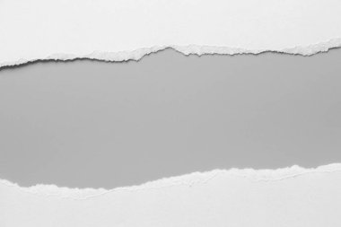 Gri arka planda beyaz yırtık kağıt. koleksiyon kağıdı yırtılması