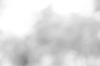 Beyaz bokeh doğa arka plan bulanık. duvar kağıdı zemin gri, yumuşak ışık gri arka plan bulanıklık.