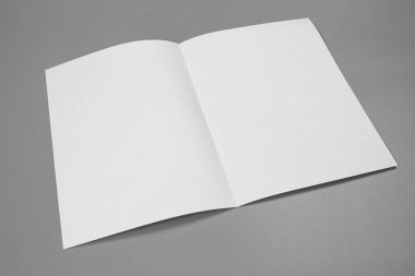 Boş dikey A4. gri, değiştirilebilir arka plan izole broşür dergi / beyaz kağıt izole gri üzerine
