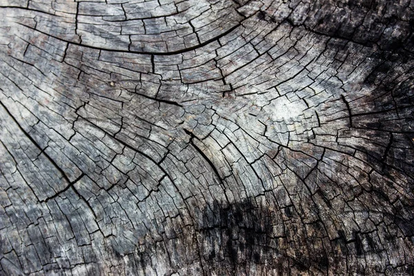 Stare Drewniane Tekstury Tło Tło Szablonu Ciemny Odcień — Zdjęcie stockowe