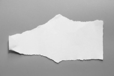 Gri arka planda beyaz yırtık kağıt. koleksiyon kağıdı yırtılması