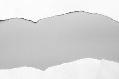 Gri arka planda beyaz yırtık kağıt. koleksiyon kağıdı yırtılması