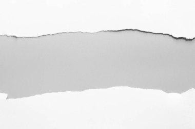Gri arka planda beyaz yırtık kağıt. koleksiyon kağıdı yırtılması