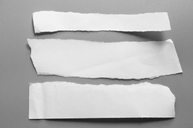 Gri arka planda beyaz yırtık kağıt. koleksiyon kağıdı yırtılması