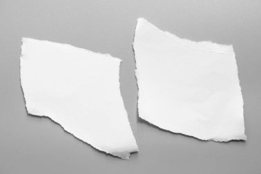 Gri arka planda beyaz yırtık kağıt. koleksiyon kağıdı yırtılması