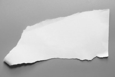 Gri arka planda beyaz yırtık kağıt. koleksiyon kağıdı yırtılması