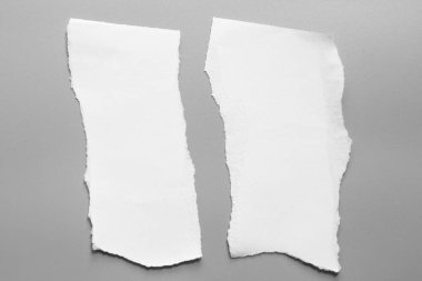 Gri arka planda beyaz yırtık kağıt. koleksiyon kağıdı yırtılması