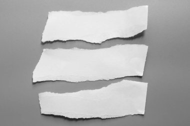 Gri arka planda beyaz yırtık kağıt. koleksiyon kağıdı yırtılması