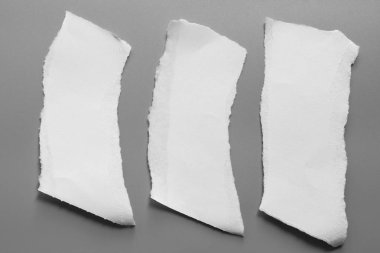 Gri arka planda beyaz yırtık kağıt. koleksiyon kağıdı yırtılması