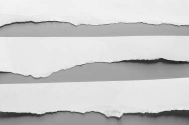 Gri arka planda beyaz yırtık kağıt. koleksiyon kağıdı yırtılması