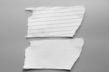 Gri arka planda beyaz yırtık kağıt. koleksiyon kağıdı yırtılması