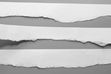 Gri arka planda beyaz yırtık kağıt. koleksiyon kağıdı yırtılması
