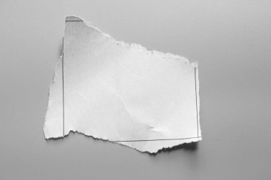 Gri arka planda beyaz yırtık kağıt. koleksiyon kağıdı yırtılması