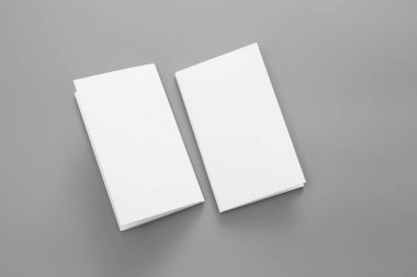 Boş dikey A4. gri, değiştirilebilir arka plan izole broşür dergi / beyaz kağıt izole gri üzerine