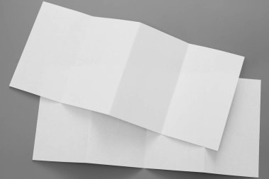 Boş dikey A4. gri, değiştirilebilir arka plan izole broşür dergi / beyaz kağıt izole gri üzerine
