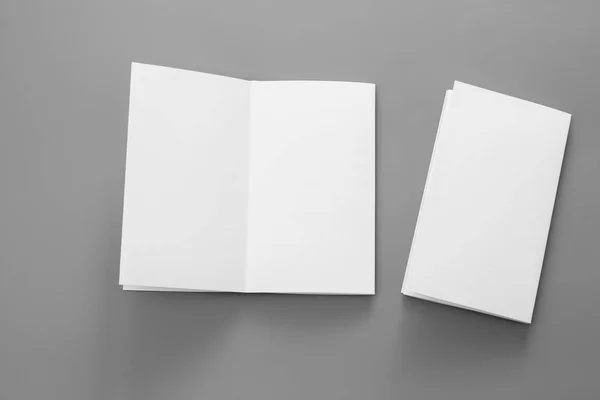 空白肖像 小册子杂志孤立的灰色 多变的背景 白皮书孤立的灰色 — 图库照片