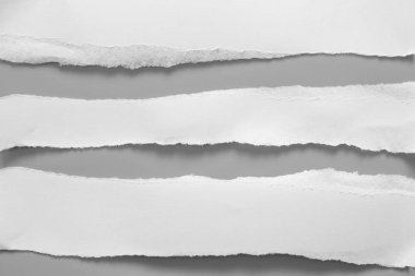 Gri arka planda beyaz yırtık kağıt. koleksiyon kağıdı yırtılması