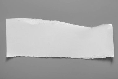 Gri arka planda beyaz yırtık kağıt. koleksiyon kağıdı yırtılması