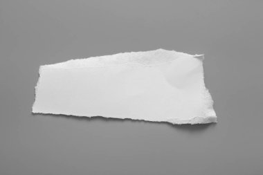 Gri arka planda beyaz yırtık kağıt. koleksiyon kağıdı yırtılması
