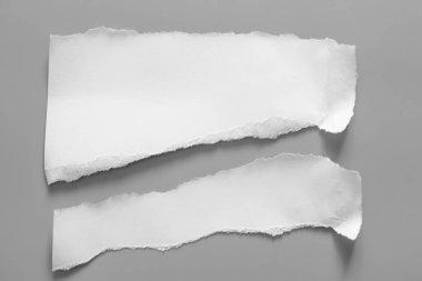 Gri arka planda beyaz yırtık kağıt. koleksiyon kağıdı yırtılması