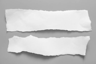 Gri arka planda beyaz yırtık kağıt. koleksiyon kağıdı yırtılması