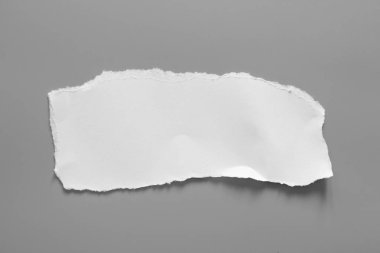 Gri arka planda beyaz yırtık kağıt. koleksiyon kağıdı yırtılması