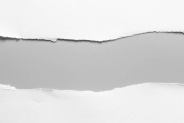 Gri arka planda beyaz yırtık kağıt. koleksiyon kağıdı yırtılması