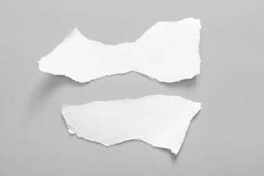 Gri arka planda beyaz yırtık kağıt. koleksiyon kağıdı yırtılması