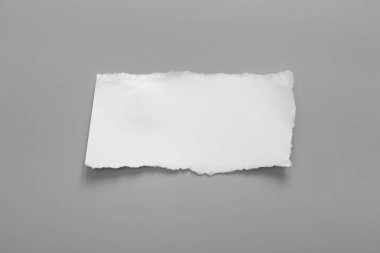 Gri arka planda beyaz yırtık kağıt. koleksiyon kağıdı yırtılması
