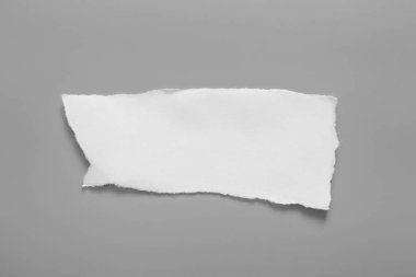 Gri arka planda beyaz yırtık kağıt. koleksiyon kağıdı yırtılması