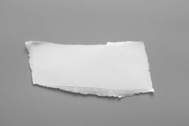 Gri arka planda beyaz yırtık kağıt. koleksiyon kağıdı yırtılması
