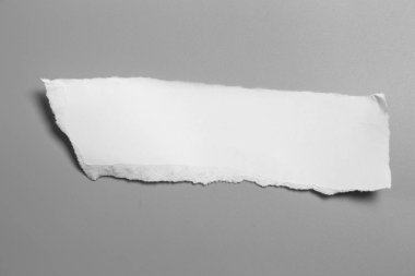 Gri arka planda beyaz yırtık kağıt. koleksiyon kağıdı yırtılması