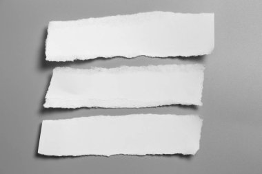 Gri arka planda beyaz yırtık kağıt. koleksiyon kağıdı yırtılması