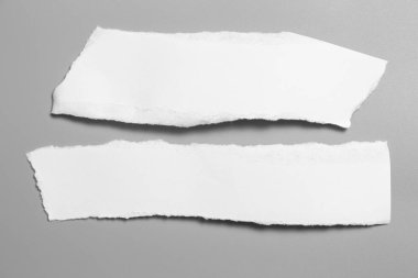 Gri arka planda beyaz yırtık kağıt. koleksiyon kağıdı yırtılması