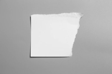Gri arka planda beyaz yırtık kağıt. koleksiyon kağıdı yırtılması