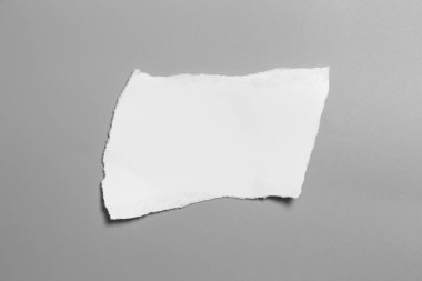 Gri arka planda beyaz yırtık kağıt. koleksiyon kağıdı yırtılması