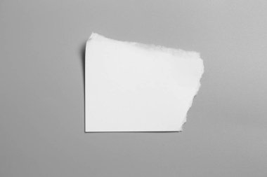 Gri arka planda beyaz yırtık kağıt. koleksiyon kağıdı yırtılması