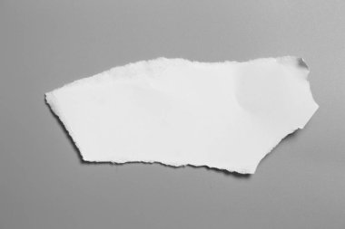 Gri arka planda beyaz yırtık kağıt. koleksiyon kağıdı yırtılması