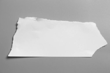 Gri arka planda beyaz yırtık kağıt. koleksiyon kağıdı yırtılması