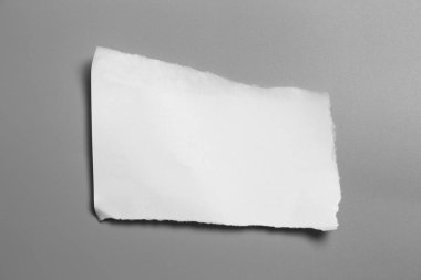Gri arka planda beyaz yırtık kağıt. koleksiyon kağıdı yırtılması
